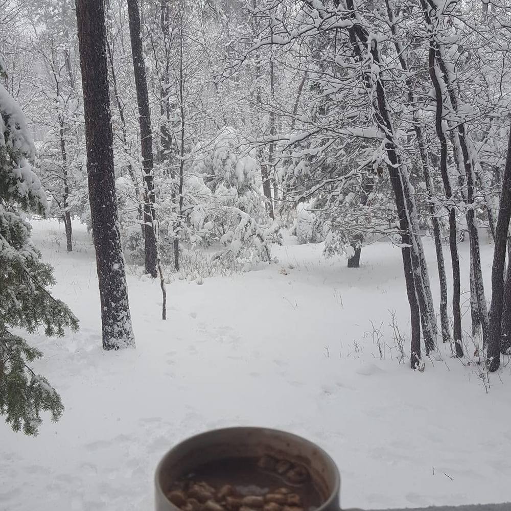 Meet your Posher, Courtney